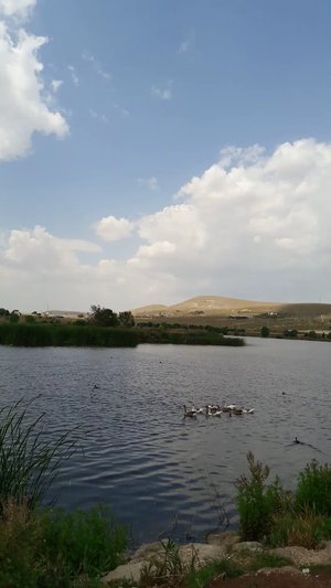 26 Ağustos Tabiat Parkı