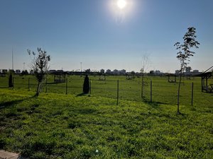 Afyon Belediyesi Karavan Kamp Alani