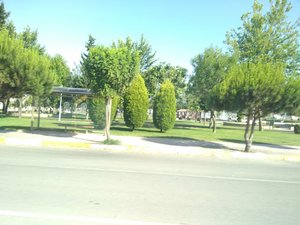 Dazkırı Çamlık Parkı