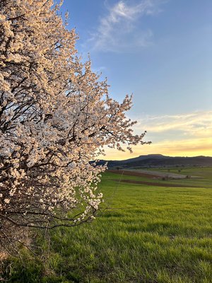 Kınık Piknik Ve Kamp Alani