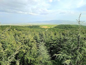 Saraydüzü Kamp Merkezi