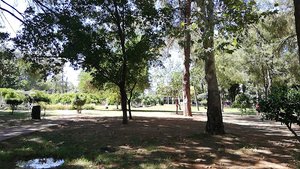 Serik Dsi Mesire Park Alanı