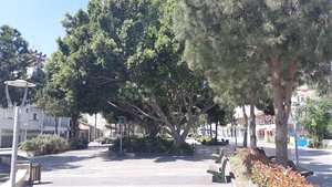 Serik Dsi Mesire Park Alanı
