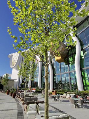 The Land Of Legends Nickelodeon Hotels & Resorts Antalya