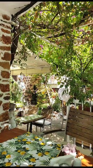 Lemon Villa Hotel Adult Only