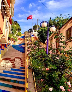 Çamlık Yenipazar