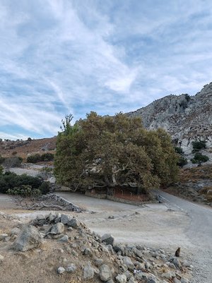 Gökçeada Sualtı Milli Parkı