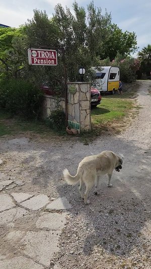 Troia Pension & Camping