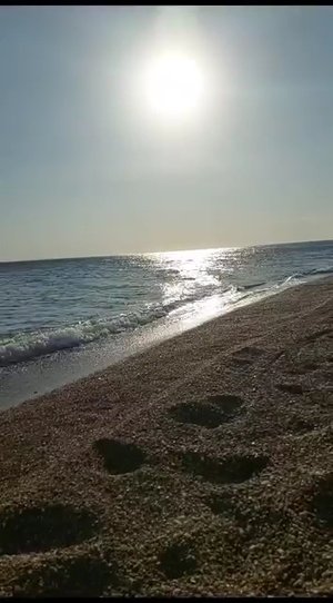 Uğurlu Köyü Muhtarlığı Çamlık Kamp Alanı