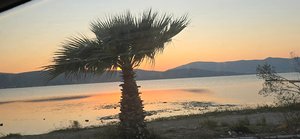 Torasan Kamp Ve Piknik Alanı