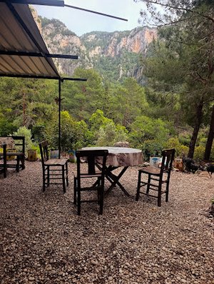 Yediburunlar Pavlonya Bungalows & Camping