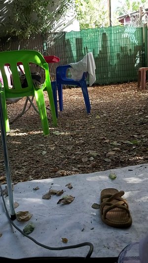 Adalin Cafe Camping