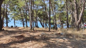 Akyaka İzci Kampı
