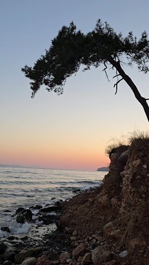Akyaka Ücretsiz Kamp Alanı