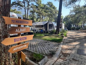 Orman Kampı Deniz Kıyısı