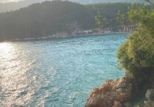 Orman Kampı Deniz Kıyısı