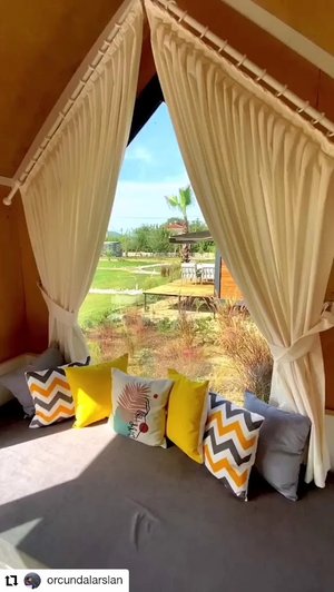Albizia Boutique Hotel