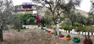 Kaplumbağa Butik Otel