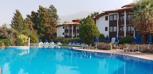 Montana Pine Resort