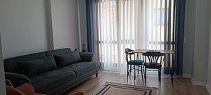 Zingila Apart